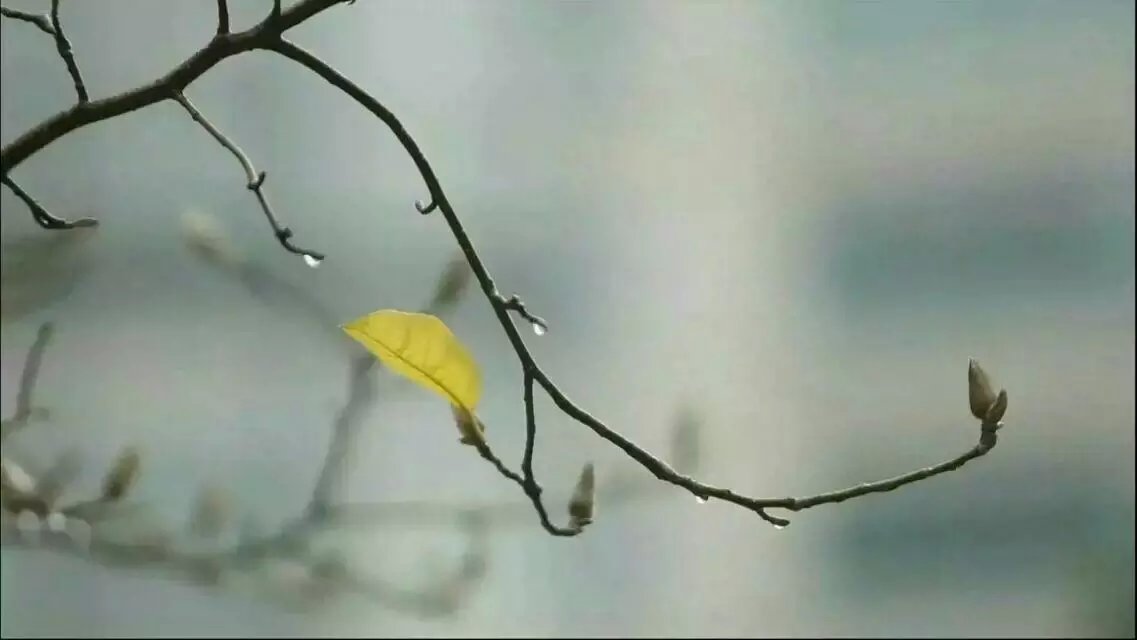 &#20061;&#28216;&#23448;&#26041;&#31471;&#20837;&#21475;&#45;&#20061;&#28216;&#40;&#20013;&#22269;&#41;